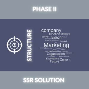 Image with word cloud of the post SSR Marketing Management Phase 2